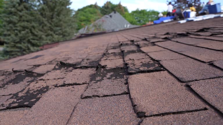 Best Storm Damage Roof Repair  in Bainbridge Island, WA