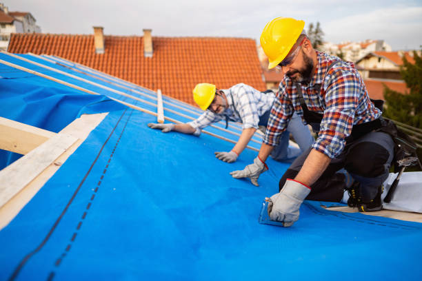 Best Roof Moss and Algae Removal  in Bainbridge Island, WA